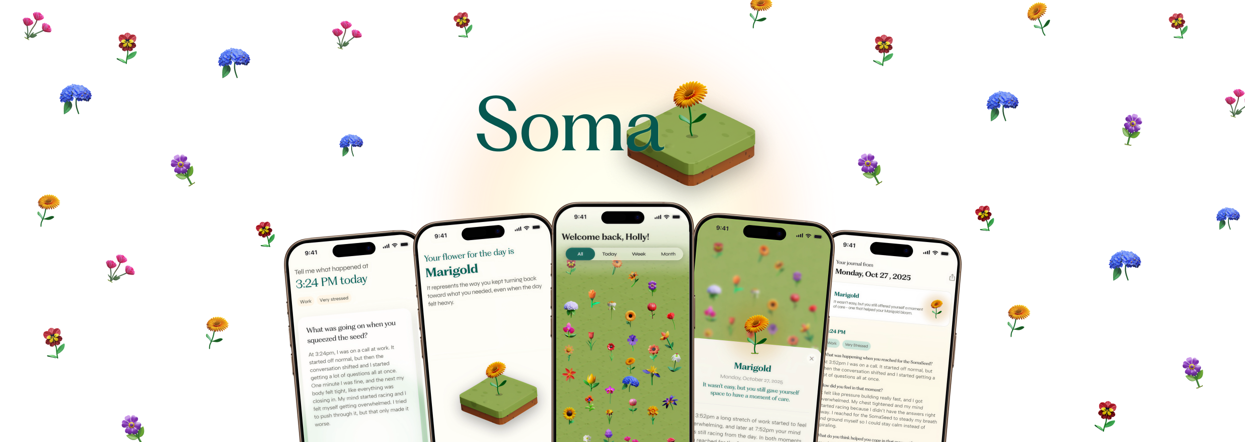 Soma Case Study