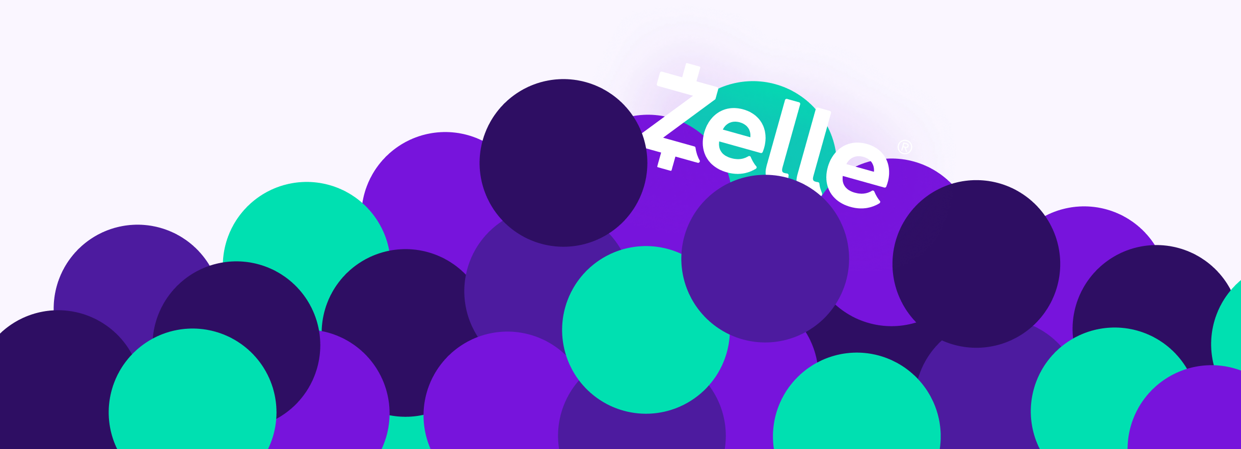 Zelle Case Study