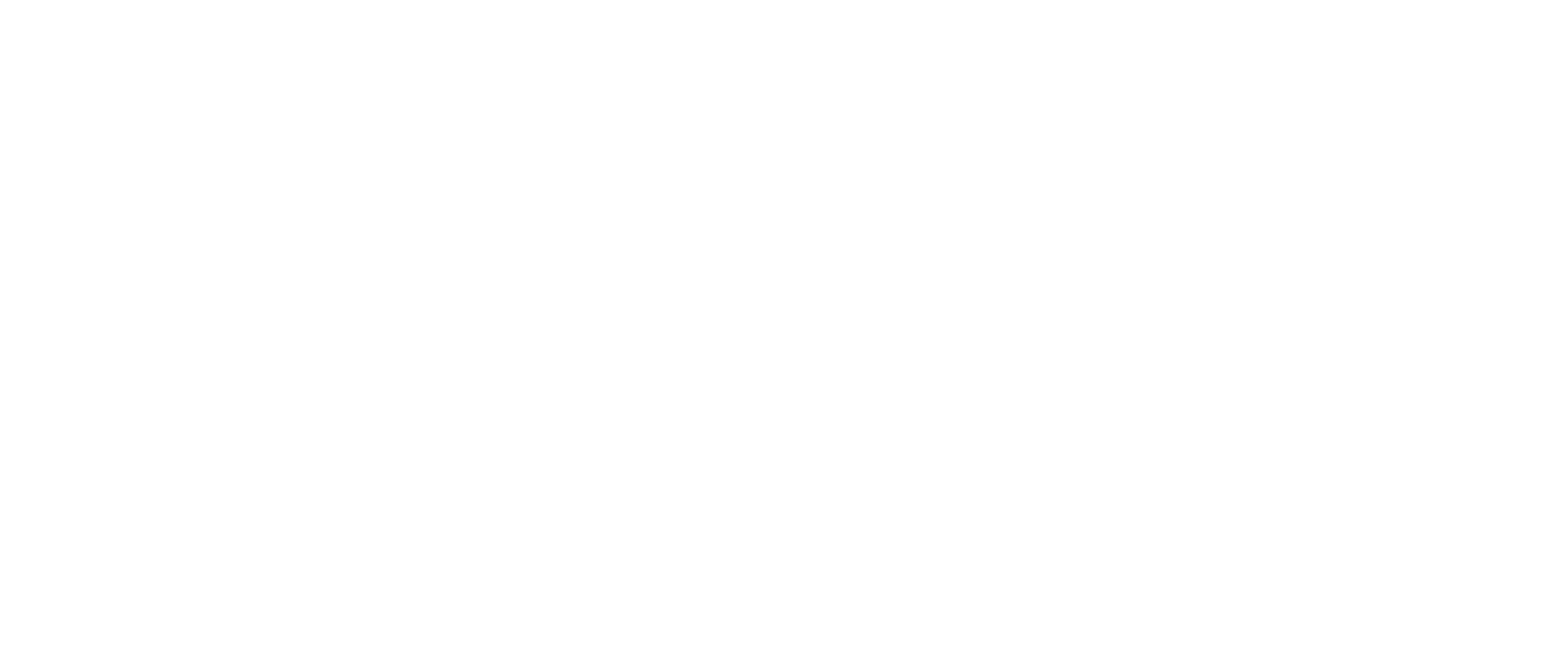 Zelle Case Study
